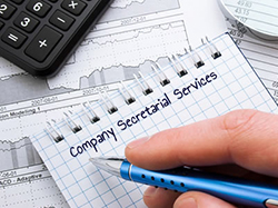 companysecretarial